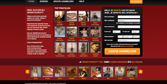 sexinyourcity.nl